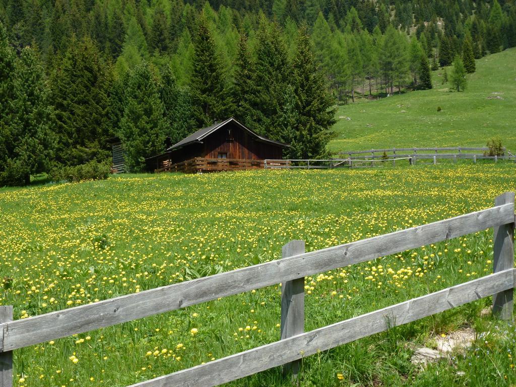Hotel Bernard Pozza di Fassa Eksteriør billede
