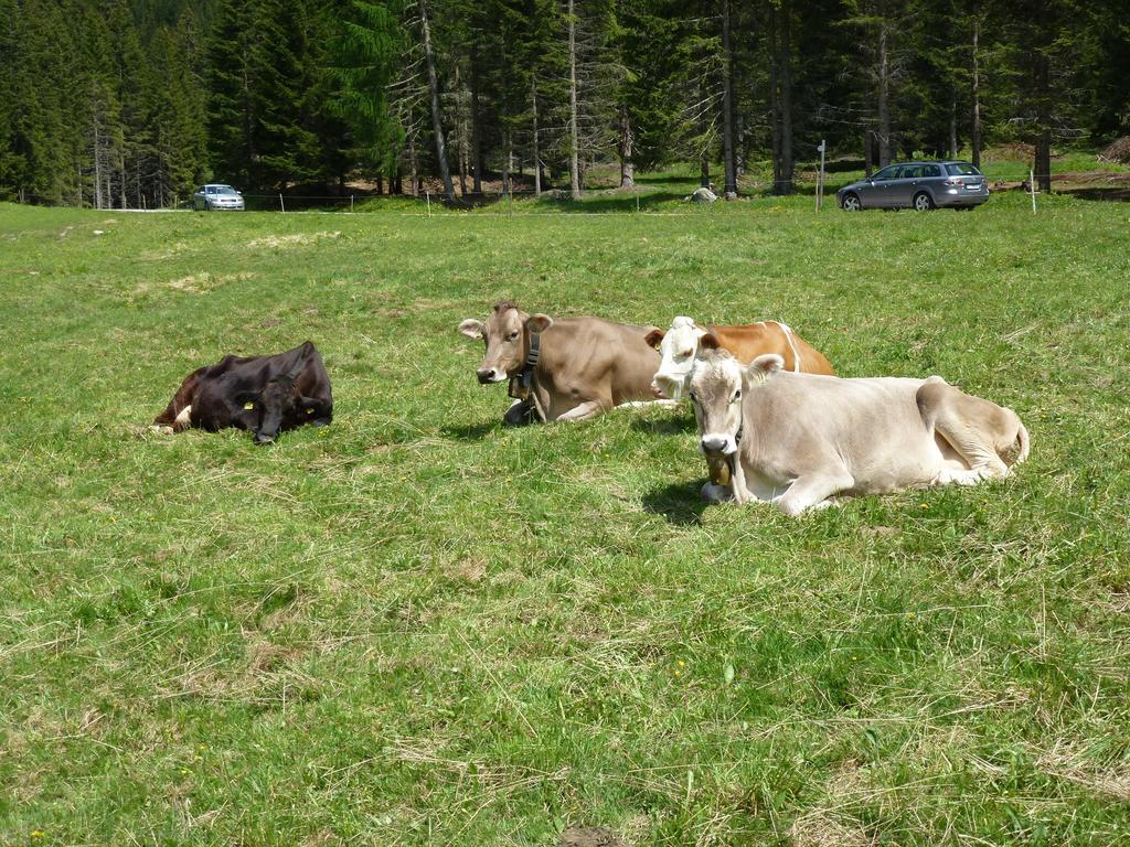 Hotel Bernard Pozza di Fassa Eksteriør billede